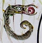 Detail: slang